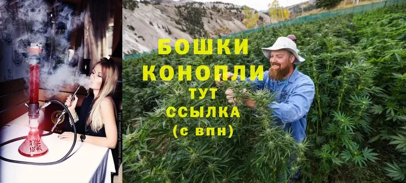 цены наркотик  Тольятти  МАРИХУАНА SATIVA & INDICA 